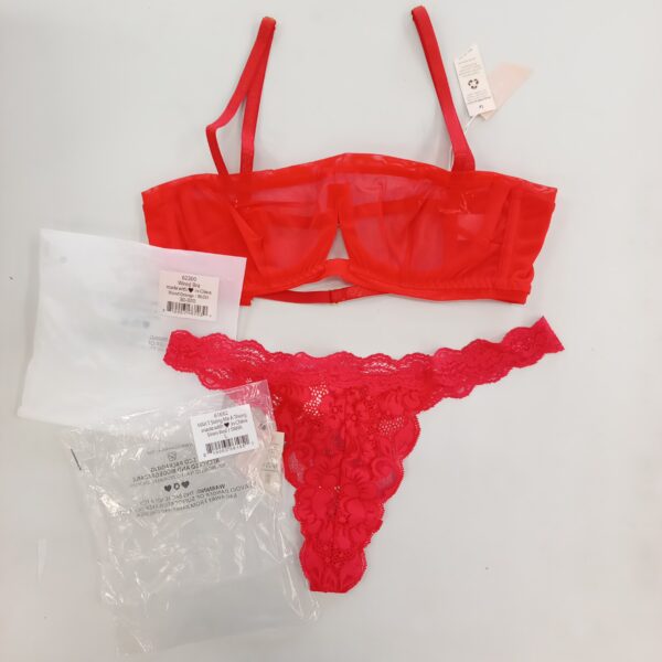 LADIES INTIMATE SMALL LOT, SHELF PULLS, 5522298, 26 units, PA image 4