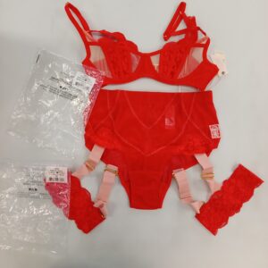 LADIES INTIMATE SMALL LOT, SHELF PULLS, 5522301, 26 units, PA image 2