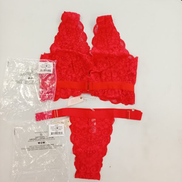 LADIES INTIMATE SMALL LOT, SHELF PULLS, 5522302, 23 units, PA image 2