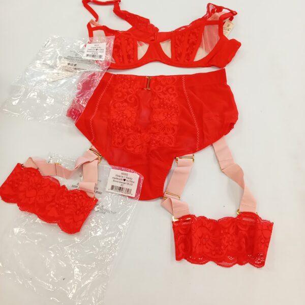LADIES INTIMATE SMALL LOT, SHELF PULLS, 5522306, 27 units, PA image 2