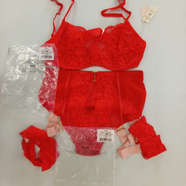 LADIES INTIMATE SMALL LOT, SHELF PULLS, 5522410, 28 units, PA image 5
