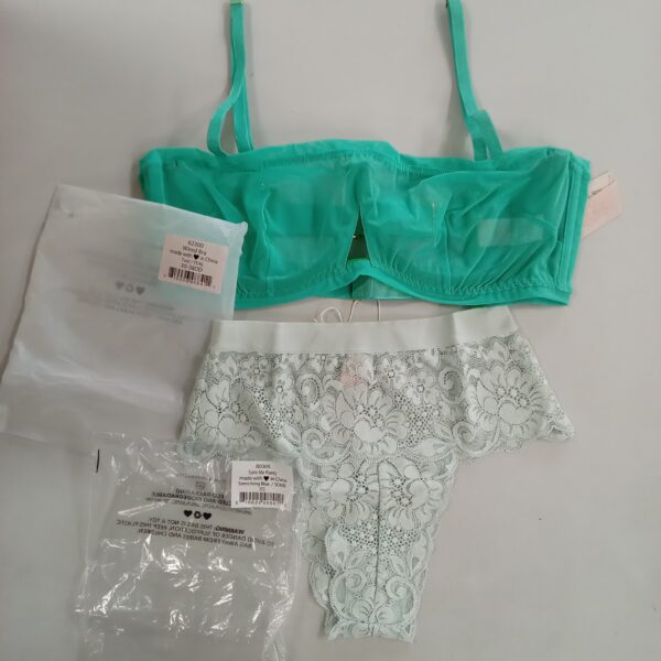 LADIES INTIMATE SMALL LOT, SHELF PULLS, 5522642, 25 units, PA image 7