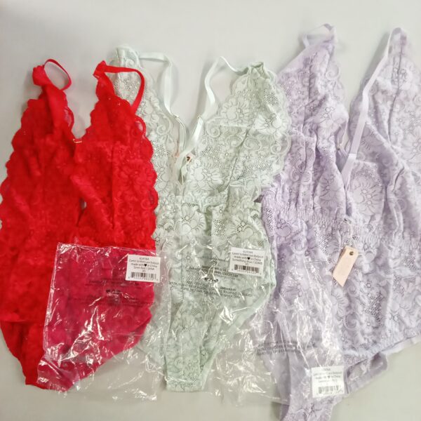LADIES INTIMATE SMALL LOT, SHELF PULLS, 5522643, 23 units, PA image 2