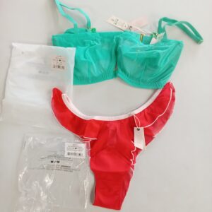 LADIES INTIMATE SMALL LOT, SHELF PULLS, 5522663, 26 units, PA image 5
