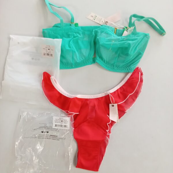LADIES INTIMATE SMALL LOT, SHELF PULLS, 5522663, 26 units, PA image 5