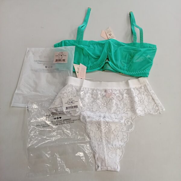 LADIES INTIMATE SMALL LOT, SHELF PULLS, 5522777, 27 units, PA image 8