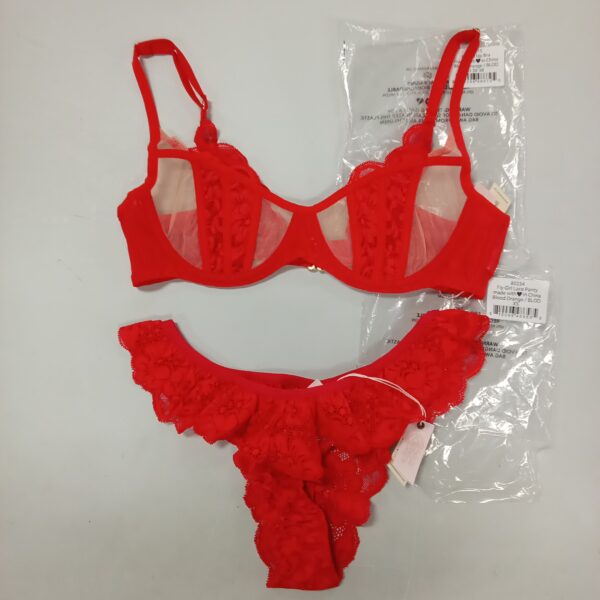LADIES INTIMATE SMALL LOT, SHELF PULLS, 5522968, 21 units, PA image 7