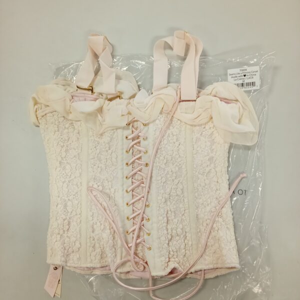 LADIES INTIMATE SMALL LOT, SHELF PULLS, 5522968, 21 units, PA image 1