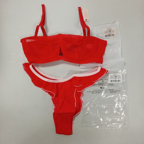 LADIES INTIMATE SMALL LOT, SHELF PULLS, 5523015, 28 units, PA image 10