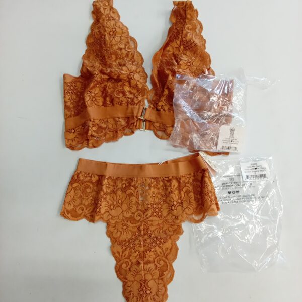 LADIES INTIMATE SMALL LOT, SHELF PULLS, 5522842, 32 units, PA image 6