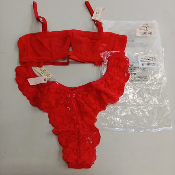 LADIES INTIMATE SMALL LOT, SHELF PULLS, 5522848, 33 units, PA image 6