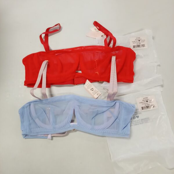 LADIES INTIMATE SMALL LOT, SHELF PULLS, 5523006, 21 units, PA image 10