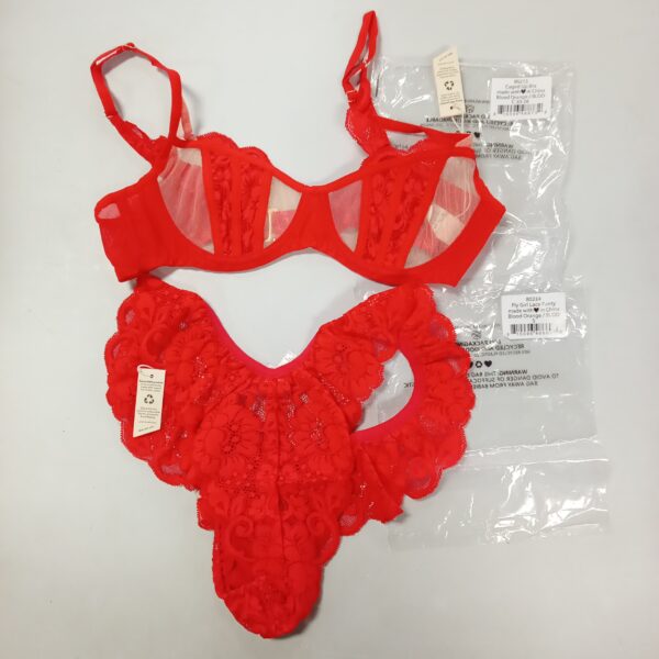 LADIES INTIMATE SMALL LOT, SHELF PULLS, 5523006, 21 units, PA image 2