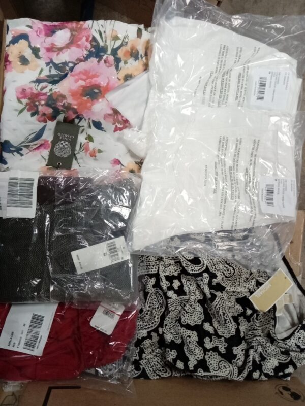 LADIES APPAREL SMALL LOT, SHELF PULLS, 5521376, 40 units, PA image 4