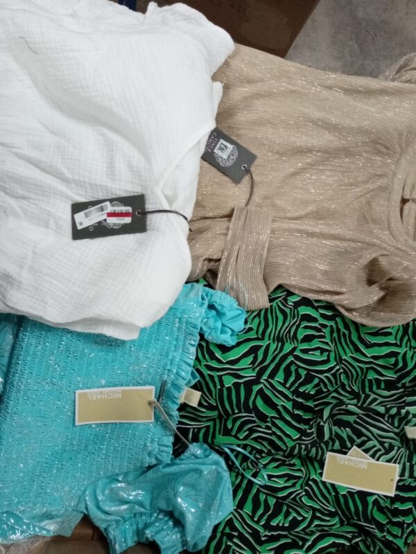 LADIES APPAREL SMALL LOT, SHELF PULLS, 5521376, 40 units, PA image 3