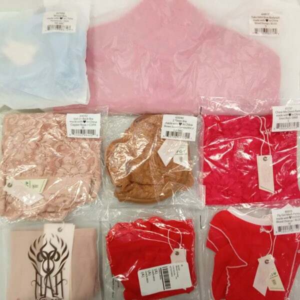 LADIES INTIMATE SMALL LOT, SHELF PULLS, 5524314, 28 units, PA