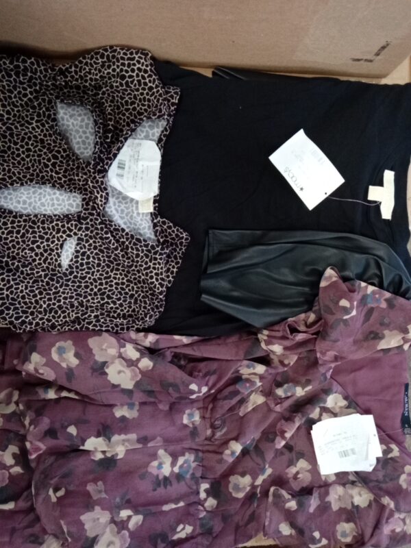 Product photo: LADIES APPAREL SMALL LOT, CUSTOMER RETURNS, 5521703, 34 units, PA image #1
