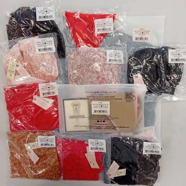 Product photo: LADIES INTIMATE SMALL LOT, SHELF PULLS, 5522125, 36 units, PA image #1
