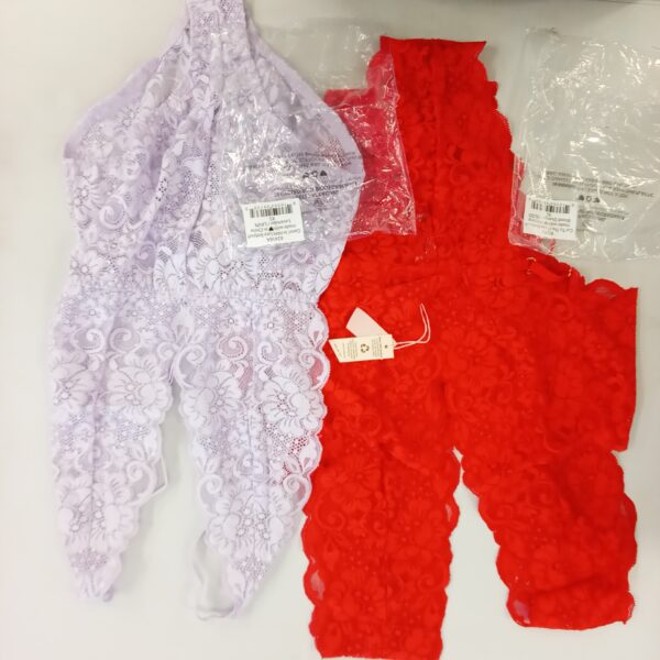 Product photo: LADIES INTIMATE SMALL LOT, SHELF PULLS, 5522229, 34 units, PA image #2