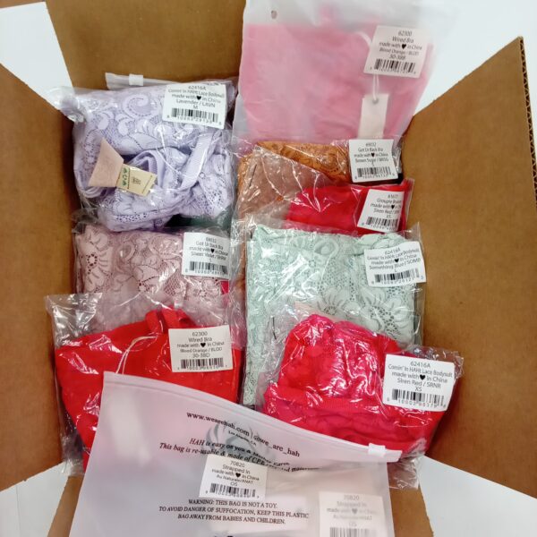 Product photo: LADIES INTIMATE SMALL LOT, SHELF PULLS, 5522349, 22 units, PA image #4