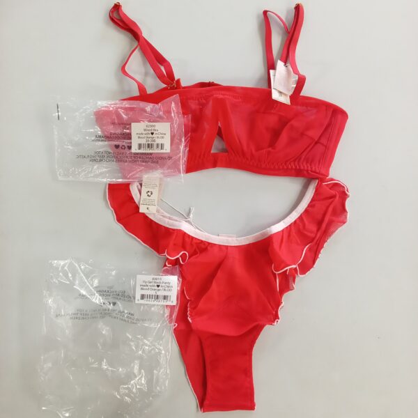 Product photo: LADIES INTIMATE SMALL LOT, SHELF PULLS, 5522665, 19 units, PA image #5