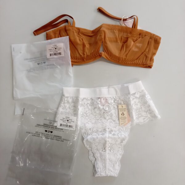 Product photo: LADIES INTIMATE SMALL LOT, SHELF PULLS, 5522813, 29 units, PA image #8