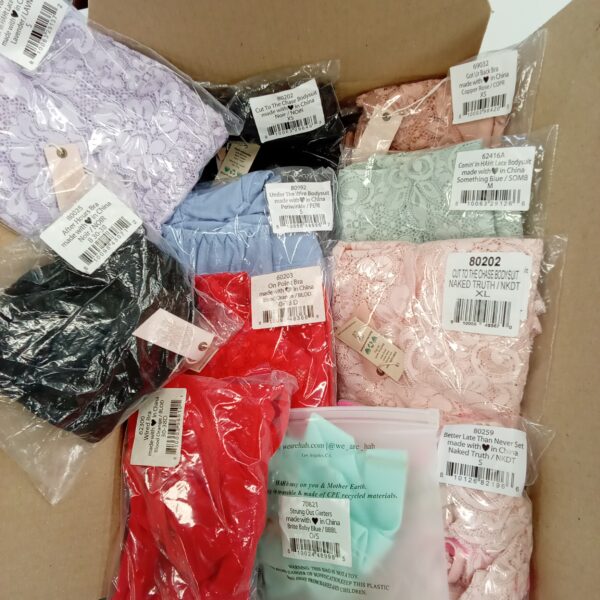 Product photo: LADIES INTIMATE SMALL LOT, SHELF PULLS, 5522244, 31 units, PA image #5