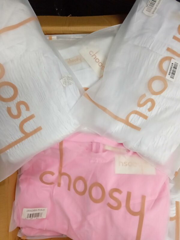 CHOOSY DESIGNER CLOTHING, SHELF PULLS, 5524589, 36 units, PA